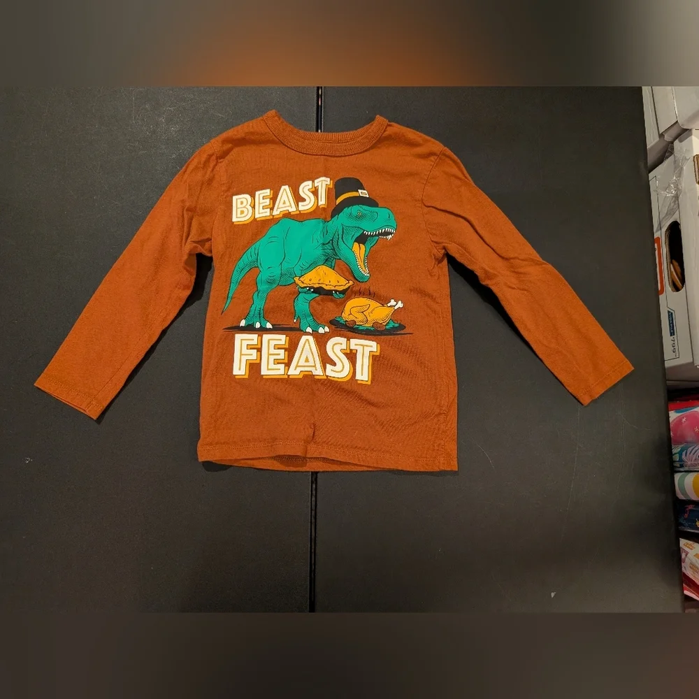 Lot of 5 (FIVE) The Children's Place Thanksgiving Shirts in Size 4T/XS/4